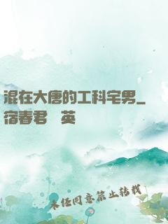 混在大唐的工科宅男